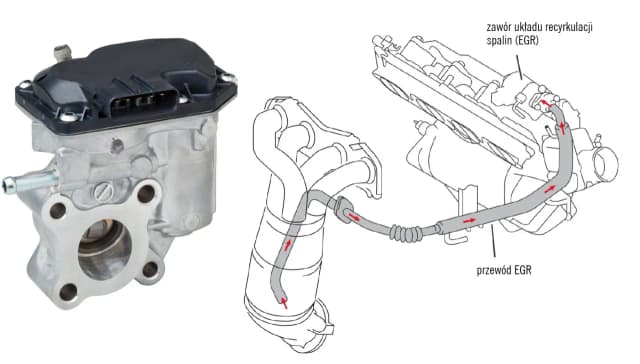 Objawy uszkodzenia zaworu EGR w dieslu, które mogą zrujnować silnik